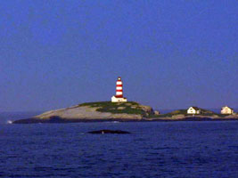 Sambro Island