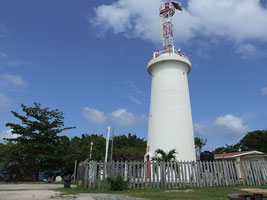 Trinidad Toco