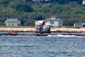 Whale Rock